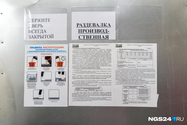 Вход в раздевалку | Источник: Мария Ленц / NGS24.RU