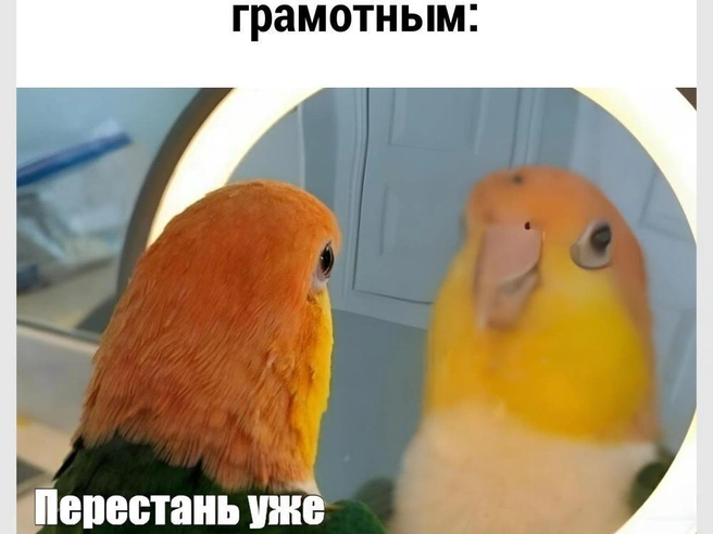 И как его убедить? | Источник: Городские медиа