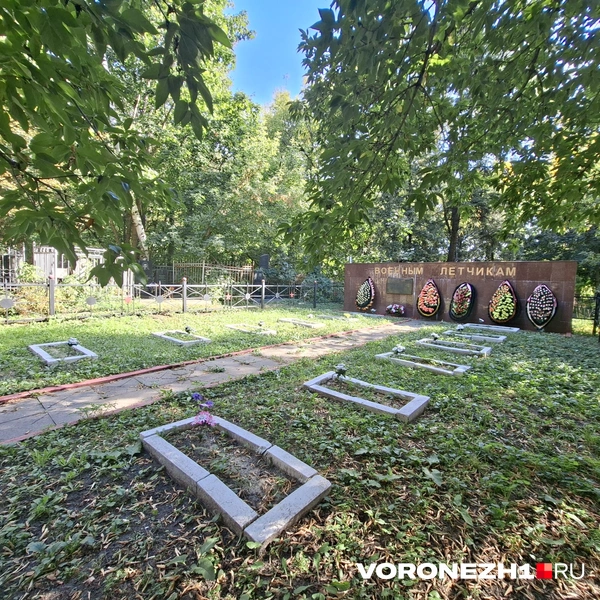Источник: Алёна Воропаева / Voronezh1.ru