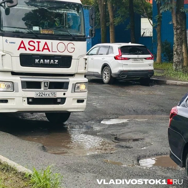 Источник: Елена Буйвол / VLADIVOSTOK1.RU