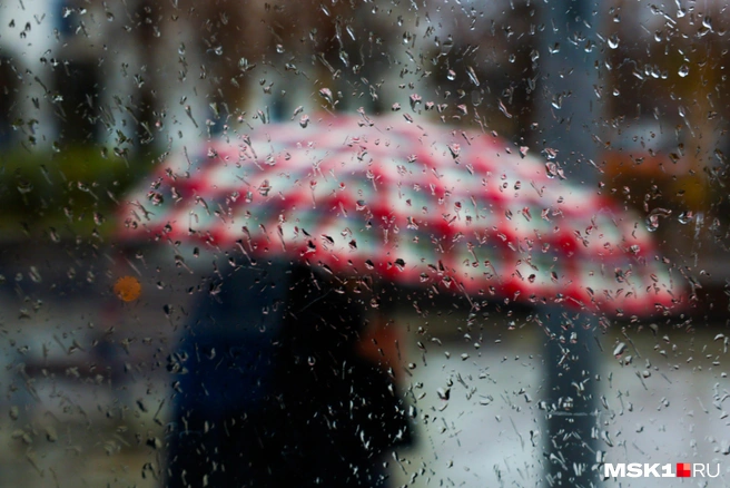 Дожди ожидаются преимущественно в южных районах республики, на севере пройдет снег | Источник: Артём Устюжанин / MSK1.RU