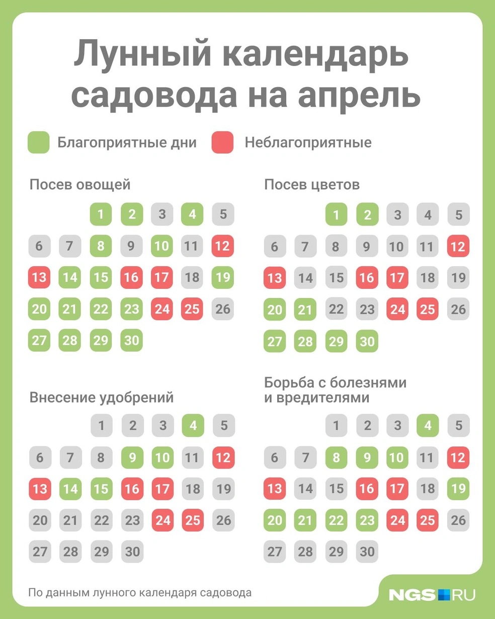 Источник: Юрий Орлов / Городские медиа