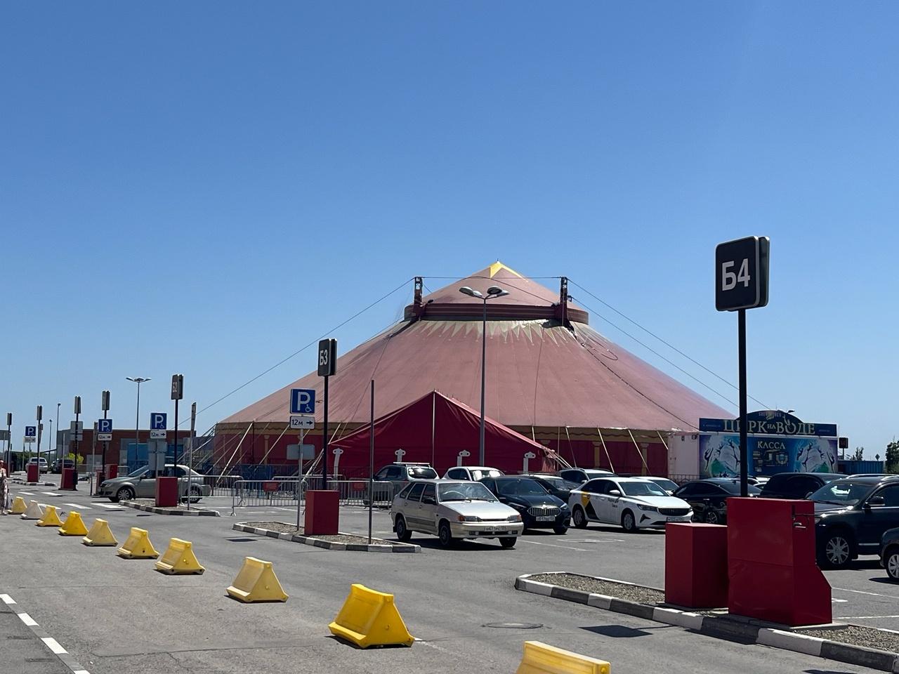 Шоу должно продолжаться. В Волгограде восстановили разрушенный ураганом цирк-шапито