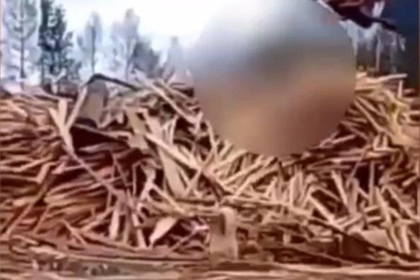 Неизвестный мужчина подвесил собаку на крюк погрузчика | Источник: ГУ МВД по Красноярскому краю