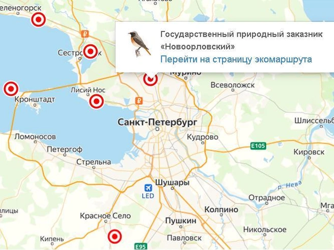 Экологические тропы | Источник: oopt.spb.ru