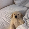 userpic__zeydariyaeaet