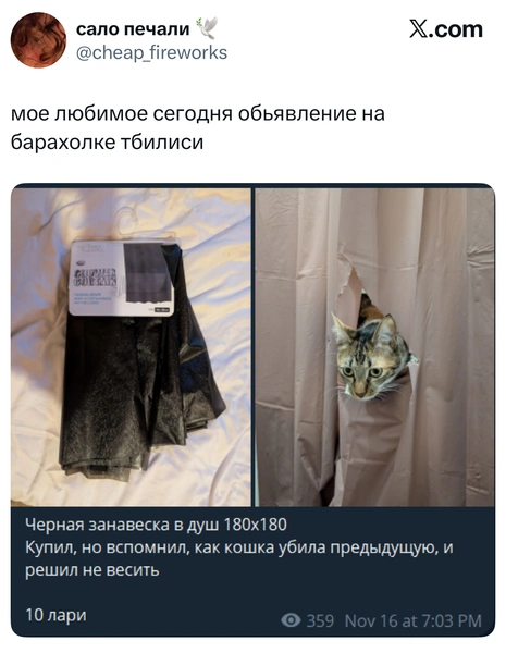 Источник: X (Twitter)