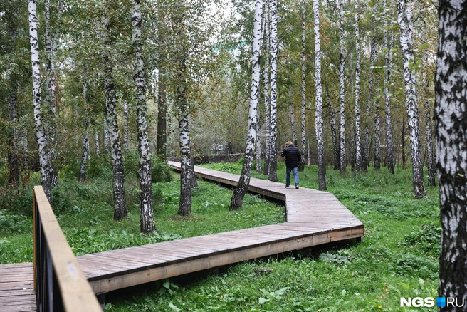Раньше тут была промзона | Источник: Александр Ощепков / NGS.RU