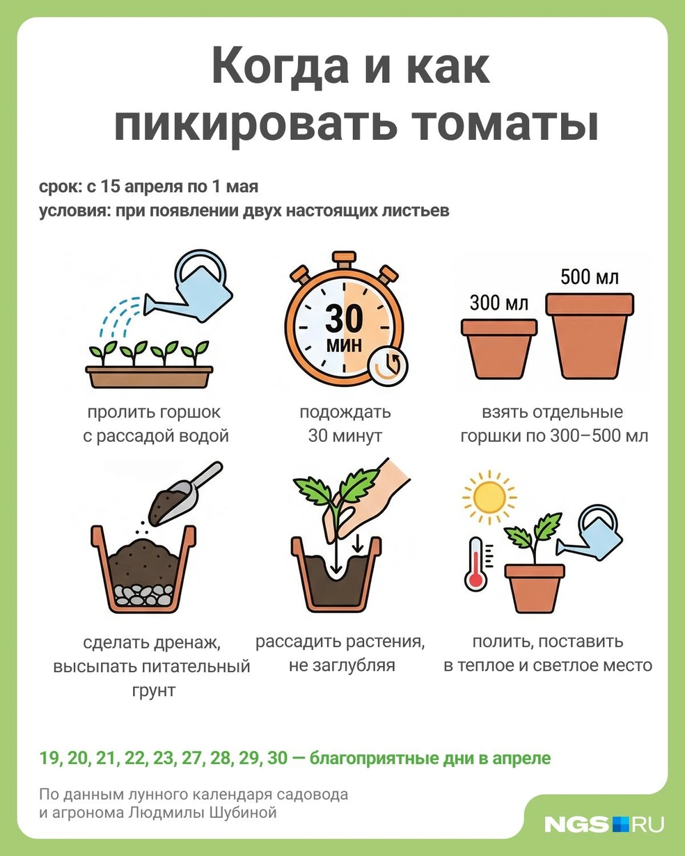 Источник: Юрий Орлов / Городские медиа
