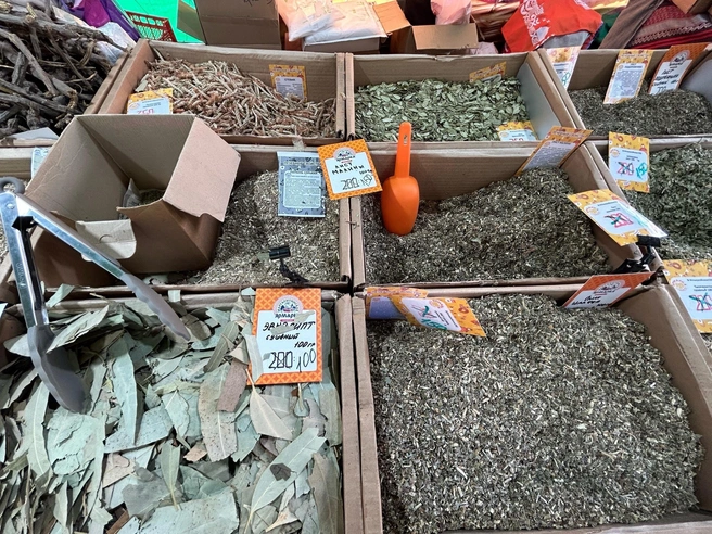 На некоторые травы уже делают скидку | Источник: Кристина Полевая / 29.RU