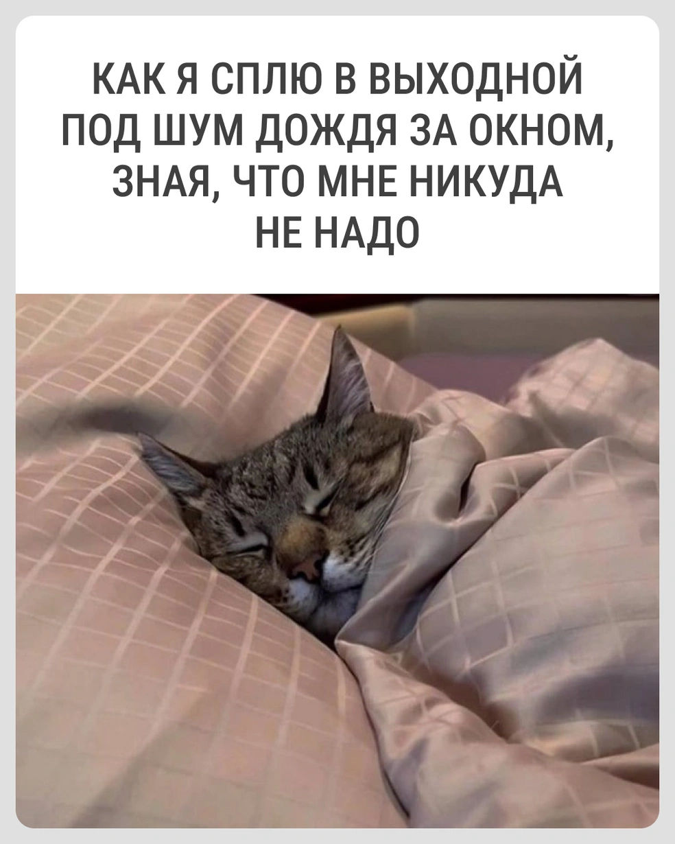Спится осенью сладко | Источник: Городские медиа