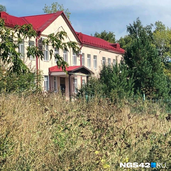 На заднем плане школа, которая буквально окружена зарослями | Источник: Александр Левчук / NGS42.RU