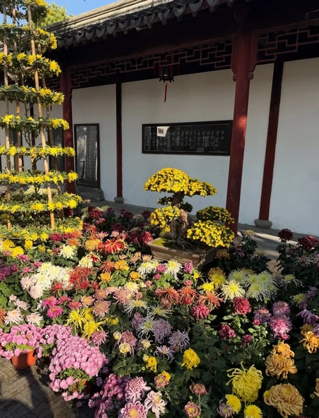 Источник: Соцсети