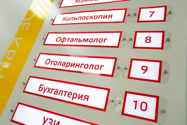 Источник: Ксения Зимина