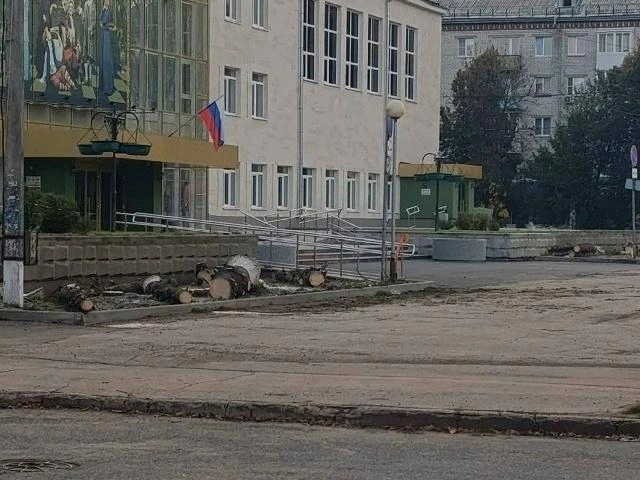 Власти Тольятти объяснили, почему перед театром «Колесо» спилили все ели | Источник: tlt.ru