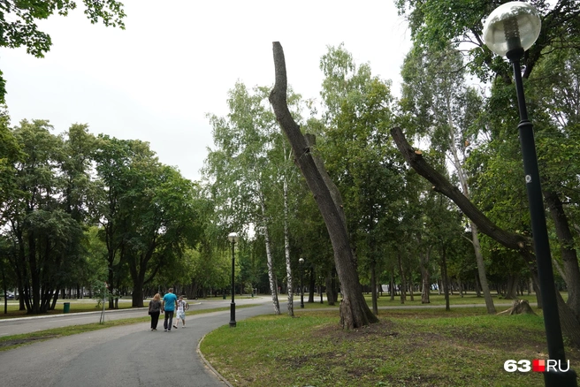А вот тут можно было бы, но негде | Источник: Алексей Ногинский / 63.RU