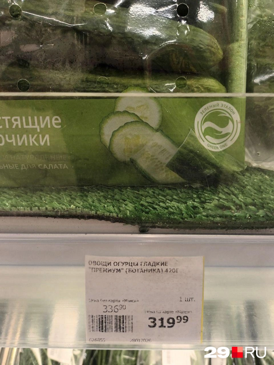 Источник: Мария Вершинина / 29.RU