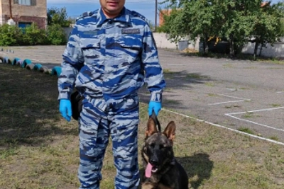 В Туве готовят нового четвероногого напарника