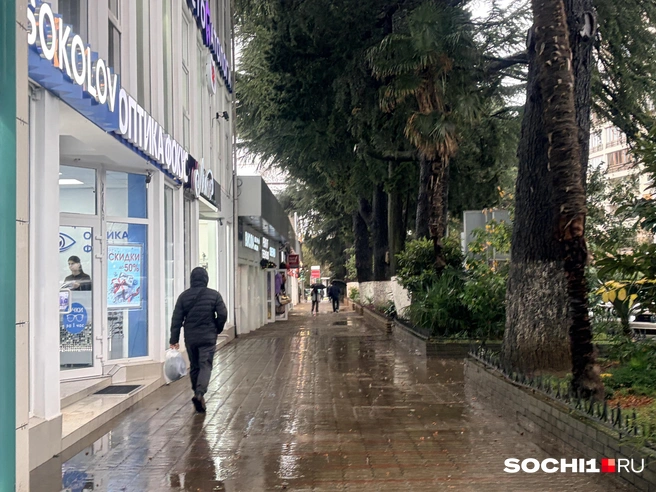 Неуютно в эти дни в Сочи  | Источник: Анна Грицевич / SOCHI1.RU