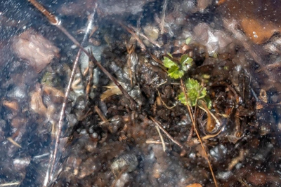 Погода 25 марта в Приморье: облачно и прохладно