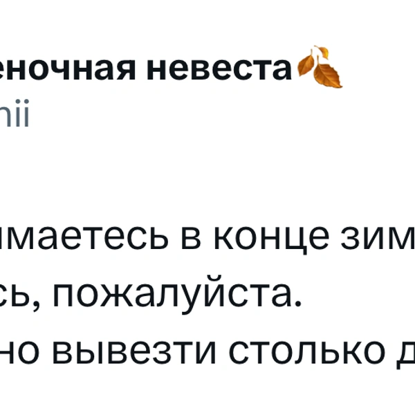 Источник: X (Twitter)