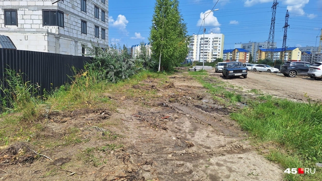 Сейчас возле забора остались еще несколько деревьев, но кажется и они долго не простоят здесь. | Источник: Александр Лисихин / 45.RU 