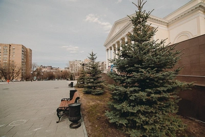 Пропавшие подростки, закрытие ресторанов, скандал с фитнес-студиями: дайджест 23 апреля