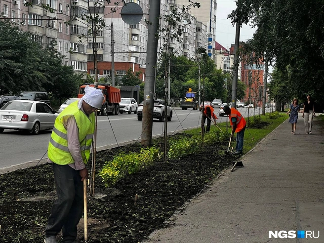 Проект благоустройства разработан для всей улицы Красина | Источник: Алена Яхтина / NGS.RU