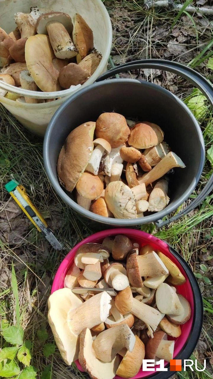 Источник: читательница E1.RU Татьяна