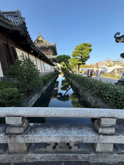 Еще немного пейзажей Киото | Источник: личный архив