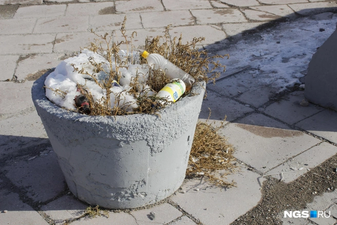 Прохожие используют вазоны в качестве урн | Источник: Стас Соколов / NGS.RU