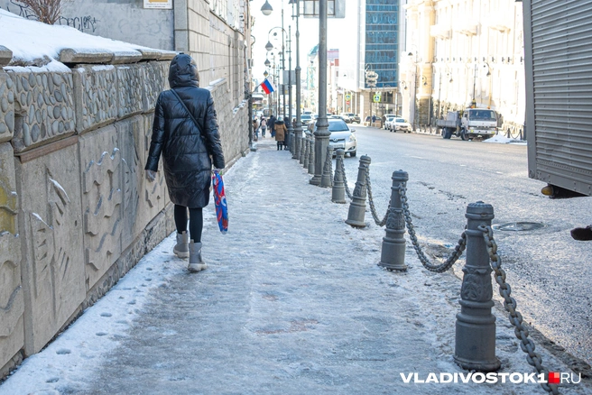Источник: Елена Буйвол / VLADIVOSTOK1.RU