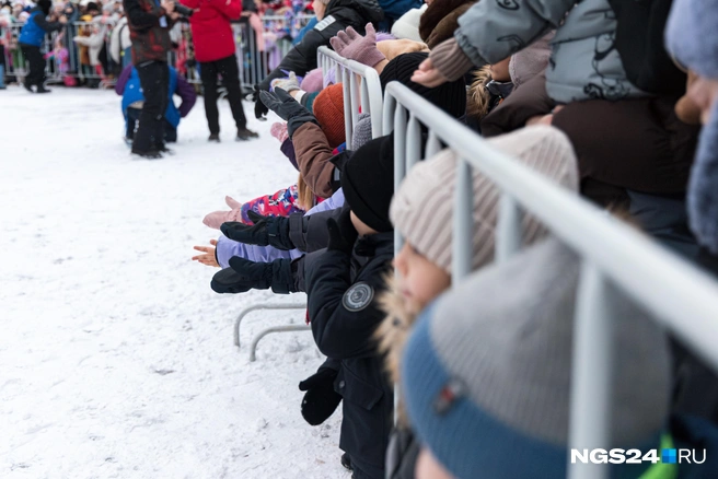 Тянут ручки | Источник: Мария Ленц / NGS24.RU