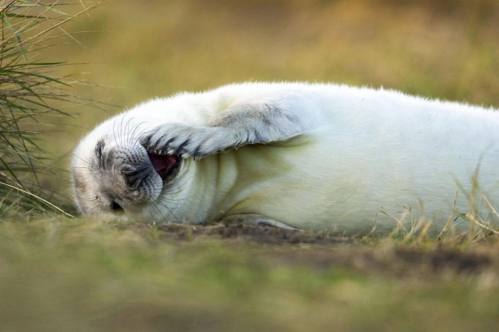 Источник: SOLENT NEWS / LEGION-MEDIA