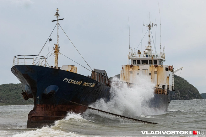 Источник: Елена Буйвол / VLADIVOSTOK1.RU