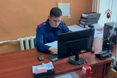 Троих школьников из Канаша арестовали за экстремизм в сети