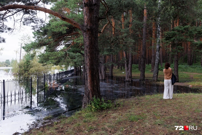 Территория левой части парка и городского пляжа на этом снимке раньше была пешеходная. Сейчас вот такая вот  | Источник: Ирина Шарова / 72.RU