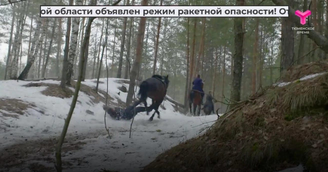 Также там написали, что в регионе объявлен режим ракетной опасности  | Источник: «Тюменское время»