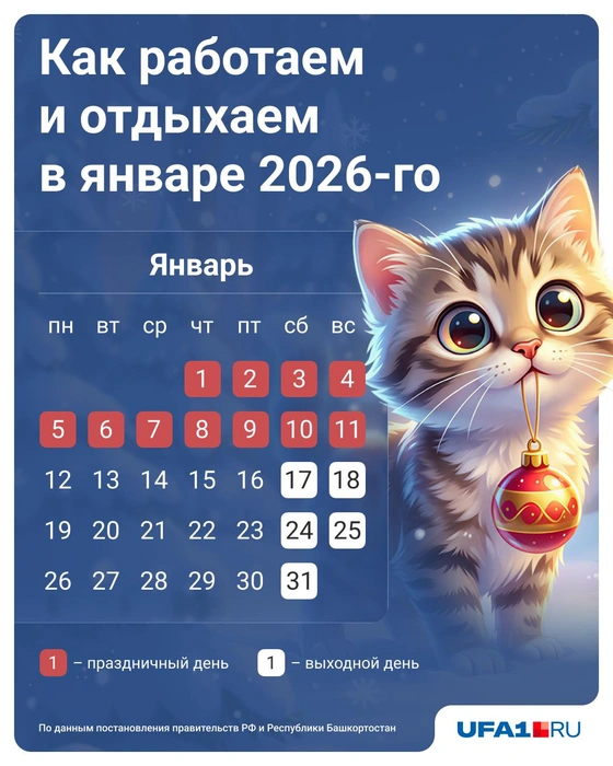 Источник: Городские медиа