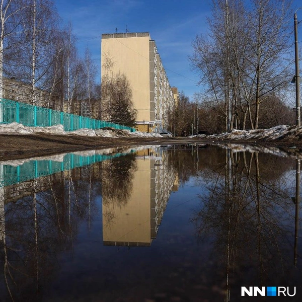 Источник: Наталья Бурухина / NN.RU