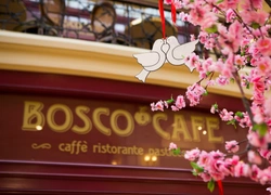 Bosco Café открылось после грандиозной реновации