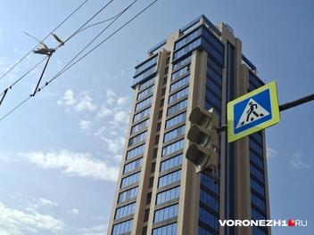 Источник: Алёна Воропаева / Voronezh1.ru