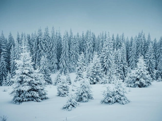 Тест: Какой зимний пейзаж царит в вашей душе? | Источник: Creative Travel Projects/Shutterstock/Fotodom.ru