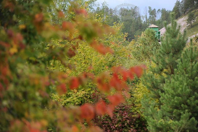 Источник: Евгений Епанчинцев