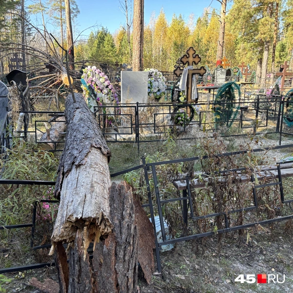 Источник: Кирилл Митин