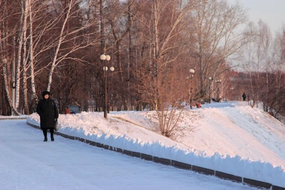 Weather Forecast for Tomsk in the First Week of February