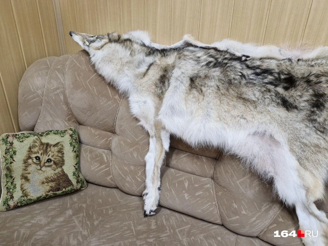 Милосердие всегда найдет себе место в душе охотника | Источник: Виктория Федорова / 164.RU