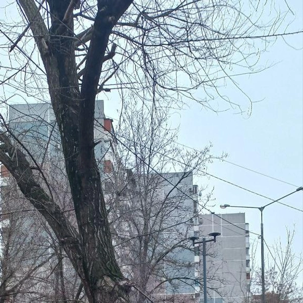 Источник: Краснодар ЮМР / T.me