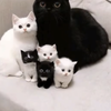 userpic__Soakwpzoa