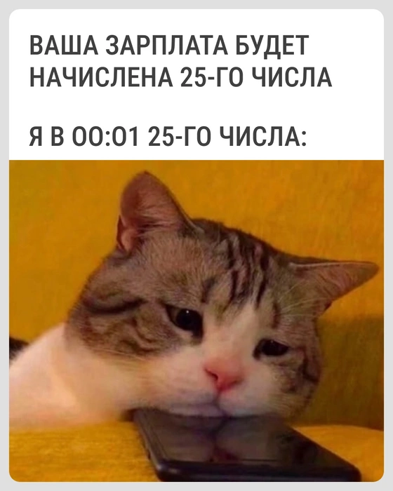 Где? | Источник: Городские медиа